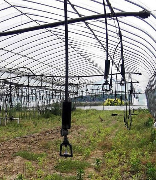 大棚吊管噴灌應用案例